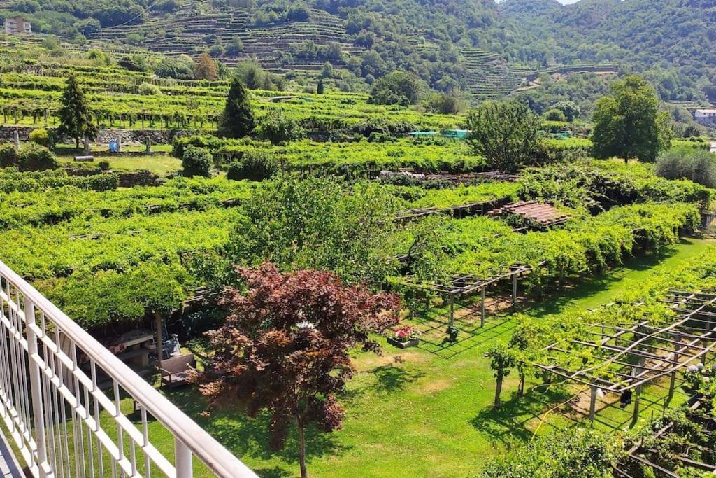 شقة La Casa Dei Nonni 3,0 Carema المظهر الخارجي الصورة